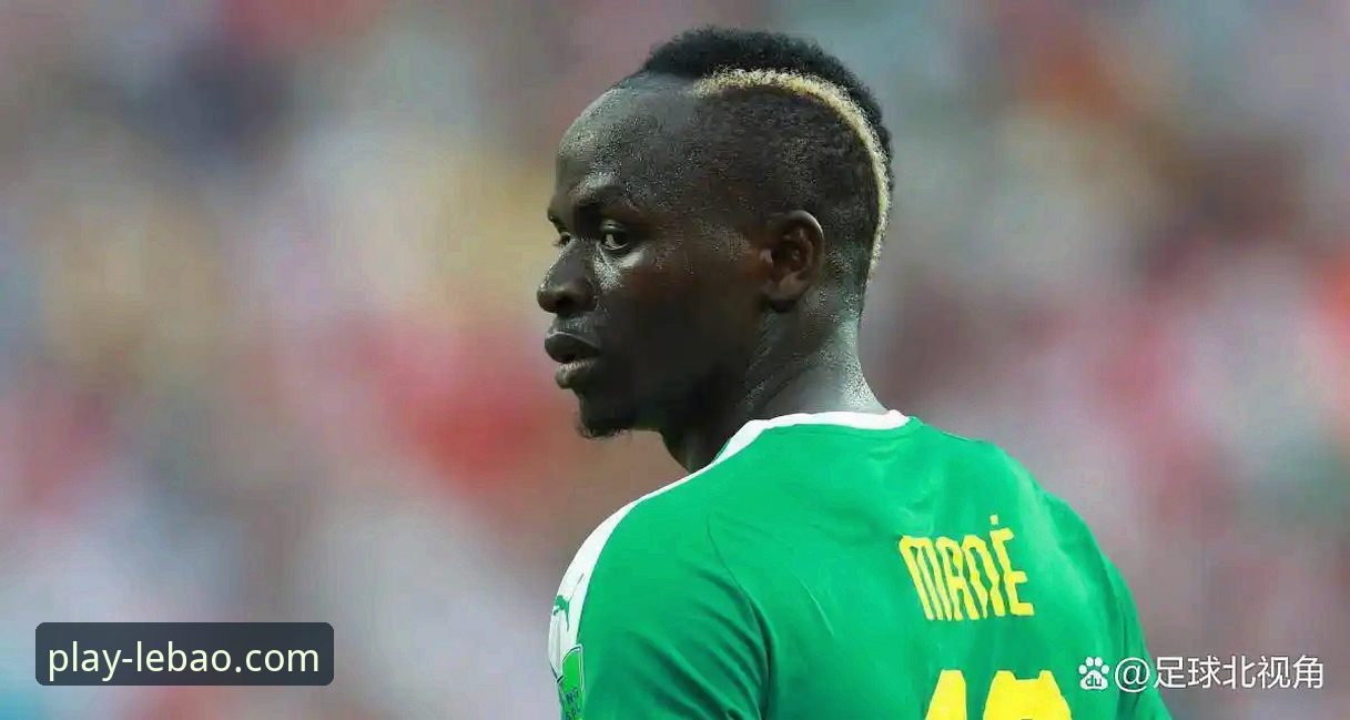 帕尼切利重伤无缘世界杯：一次战术打击与球迷视角的深度解析